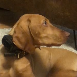 Meet your Posher, Travi